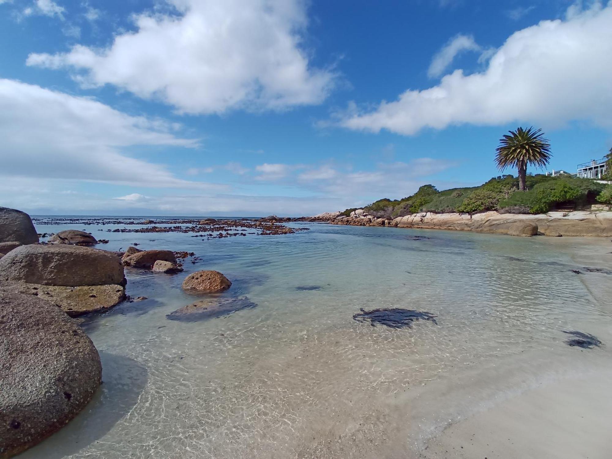 Bonne Esperance, Simon'S Town Apartment ภายนอก รูปภาพ