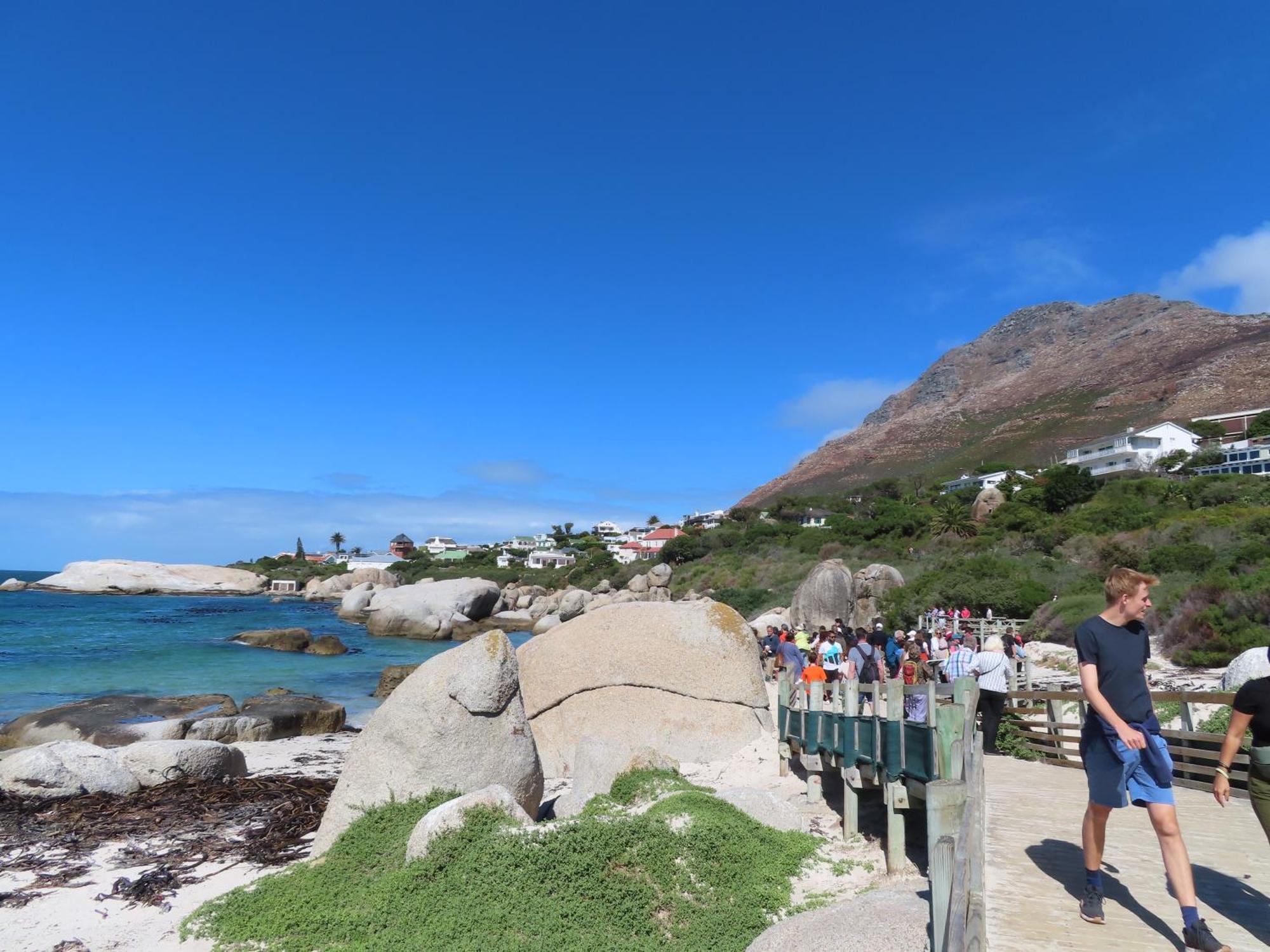 Bonne Esperance, Simon'S Town Apartment ภายนอก รูปภาพ